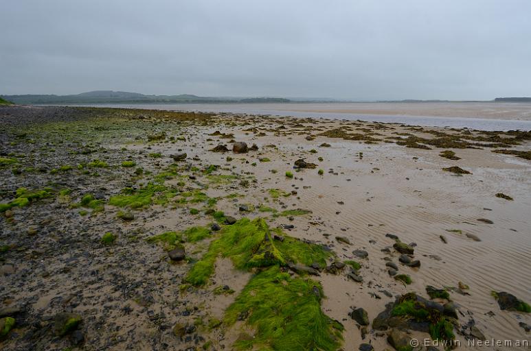 ENE-20120609-0130.jpg - [nl] Budle Bay, Northumberland, Engeland[en] Budle Bay, Northumberland, England